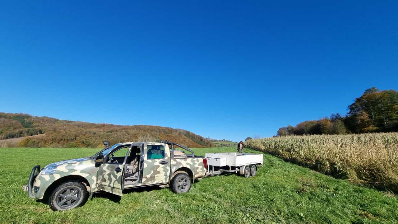 Goldener Oktobermorgen  2021 im Revier Belmicke 