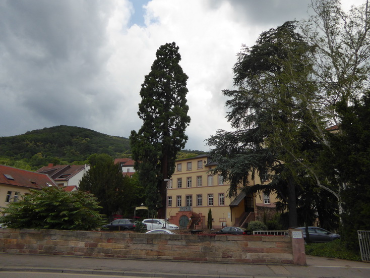 Pfalz Neustadt an der Weinstrasse 