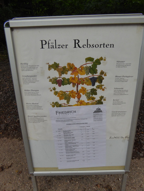 Pfälzer rebsorten