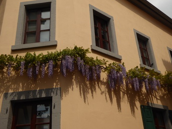 Pfalz Neustadt an der Weinstrasse   Markt 