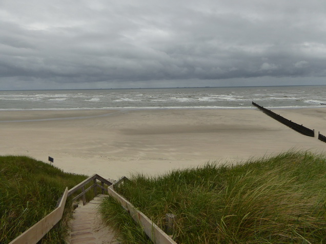   Wangerooge Dünen  Dünen auf  Wangerooge  wangerooge.de