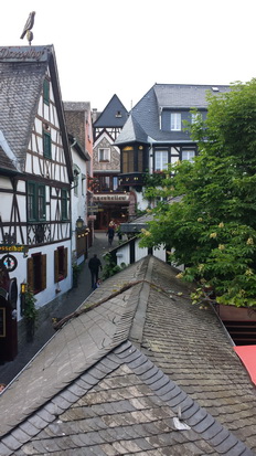 Hotel Lindenwirt Rüdesheim am Rhein  