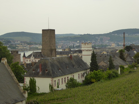 Weinberge Nierderwalddenkmal Seilbahn Assmannshausen Rüdesheim am RheinWeinberge Nierderwalddenkmal Seilbahn Assmannshausen Rüdesheim am Rhein