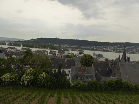 Weinberge Nierderwalddenkmal Seilbahn Assmannshausen Rüdesheim am RheinWeinberge Nierderwalddenkmal Seilbahn Assmannshausen Rüdesheim am Rhein