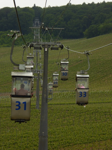 Weinberge Nierderwalddenkmal Seilbahn Assmannshausen Rüdesheim am Rhein