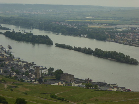 Weinberge Nierderwalddenkmal Seilbahn Assmannshausen Rüdesheim am Rhein