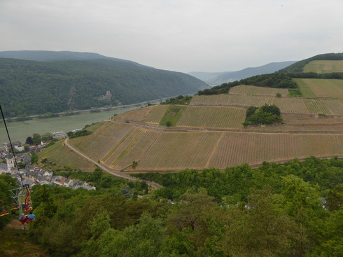 Weinberge Nierderwalddenkmal Seilbahn offene Gondel nach Assmannshausen 