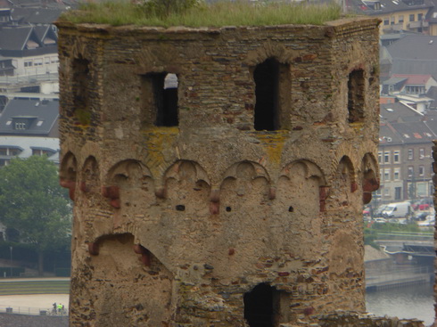 Weinberge Burg Ehrenfels 