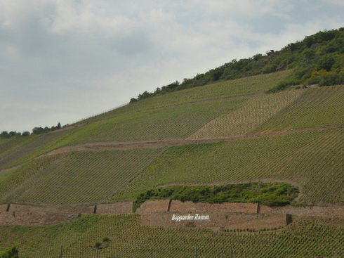 Mit dem Schiff Stolzenfels von Braubach nach  Rüdesheim 