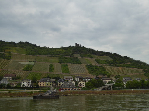 Mit dem Schiff Stolzenfels von Braubach nach  Rüdesheim   