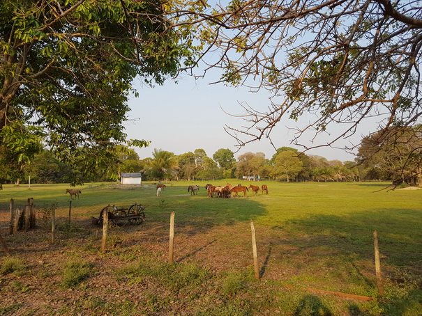 POUSADA Xaraes POUSADA Xaraes Horses 