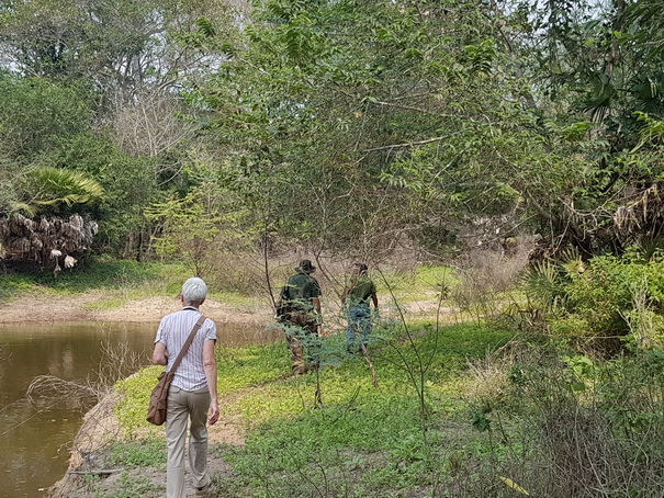 walking-safari-pantanal