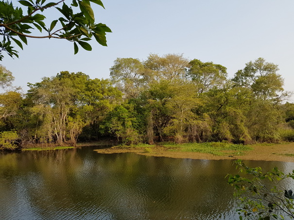 Passo do Lontra Fischermenlodge am Rio Miranda