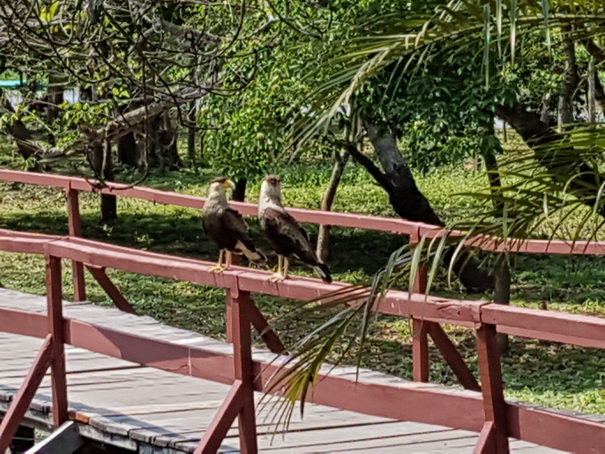 Passo do Lontra Fischermenlodge am Rio Miranda