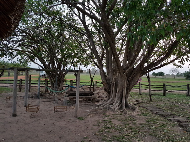   Aguape Fazenda Pantanal Aguape Fazenda Pantanal