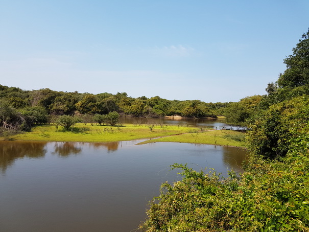 Barra Mansa Lodge Bootsafari mit Elektroboot