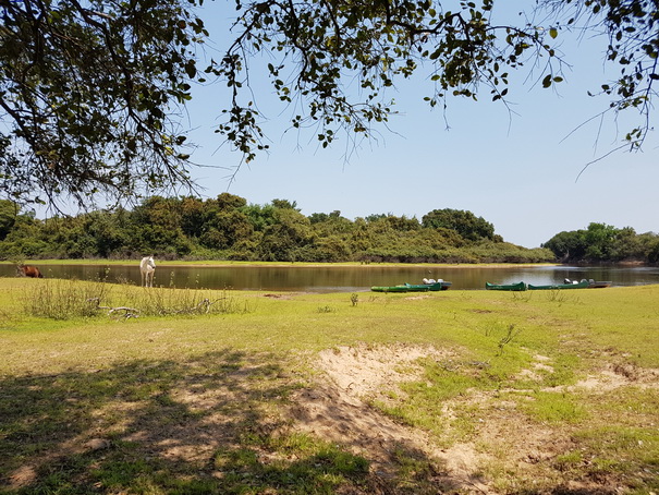 Barra Mansa Lodge Jetty