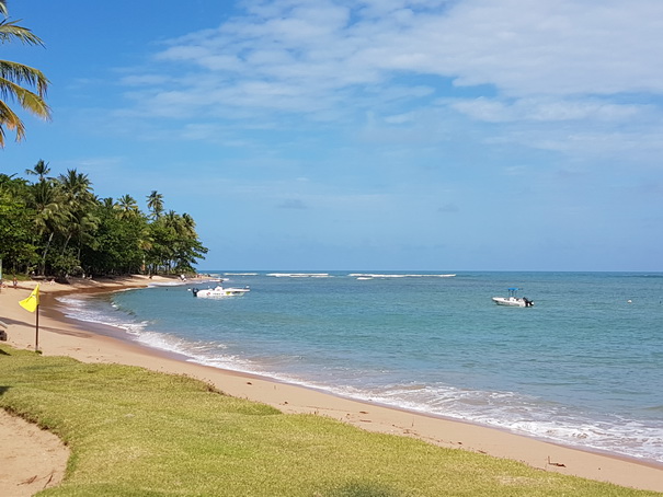 Ttivolieco resort bahia de salvador brazil