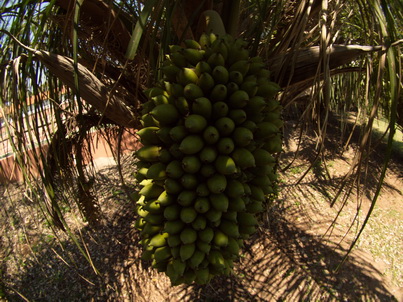 POUSADA Xaraes pantanal fisheye