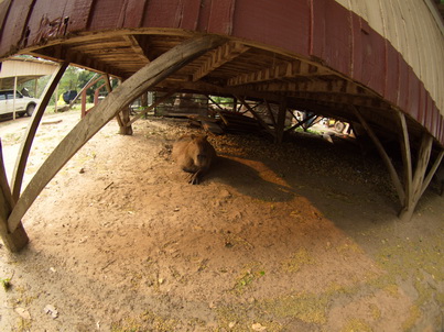 Passo do Lontra Fischermenlodge fisheye