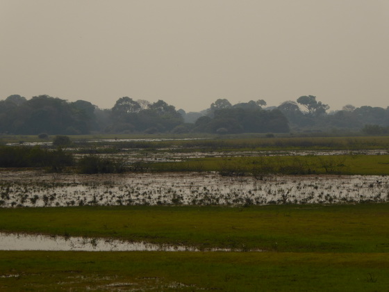 POUSADA Xaraes Pantanal Safari 