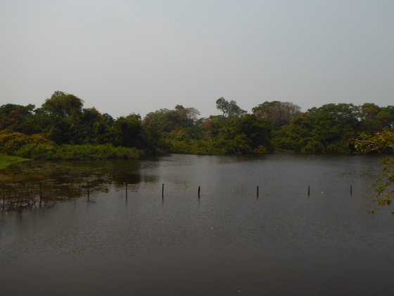 Pousada São João Ecotour   Dschungellodge Pantanal 