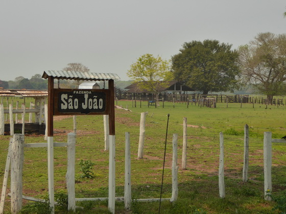 Pousada São João Ecotour   Dschungellodge Pantanal  Pousada São João Ecotour  Pousada São João Ecotour    tapirprint