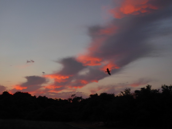 Barra Mansa Lodge Sunrise