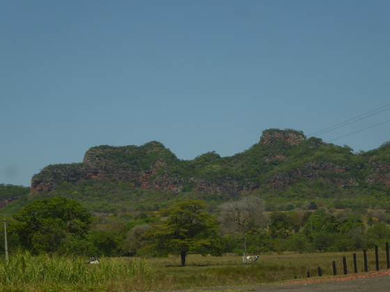 Pantanal back to campo Grande