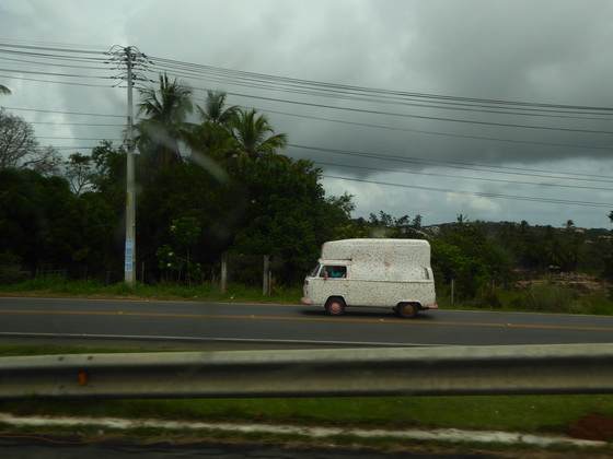 bahia de salvador 