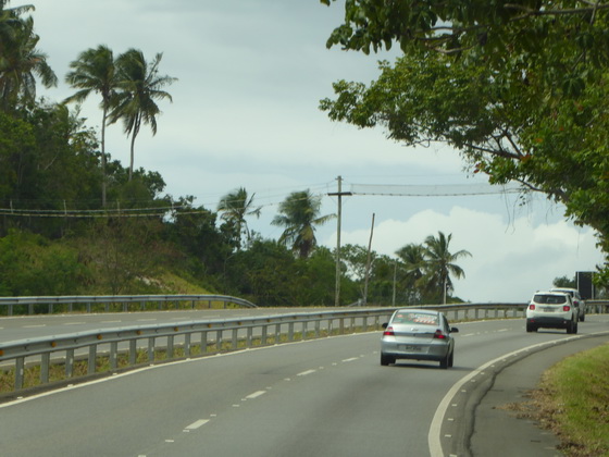 Avenida do Farol nach  Praia do Forte   Hängebrücke für Affen + Coati