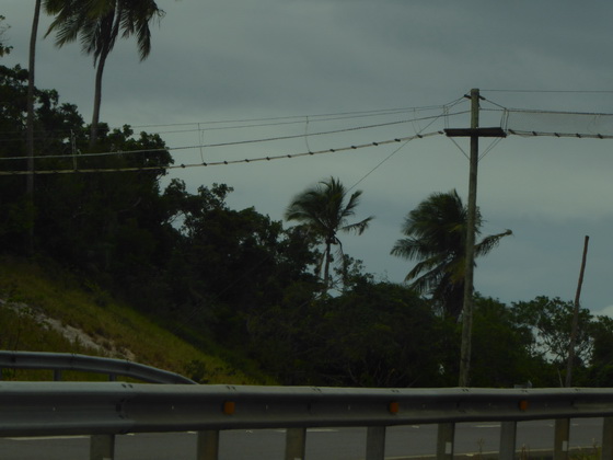 Avenida do Farol nach  Praia do Forte   Hängebrücke für Affen + Coati