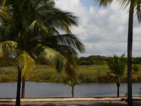 Tivoli eco resort bahia de salvador brazil Praia do Forte  