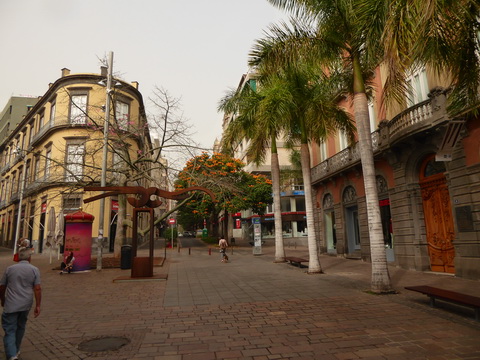 Teneriffa Santa Cruz de Tenerife  Kanaren Garcia Sanabria Park Rambla Santa Cruz  