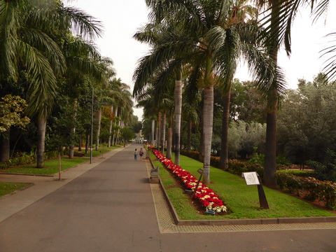 Teneriffa Santa Cruz de Tenerife  Kanaren Garcia Sanabria Park Rambla Santa Cruz 