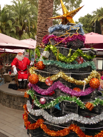 Teneriffa Santa Cruz de Tenerife  Kanaren Garcia Sanabria Park Rambla Santa Cruz  