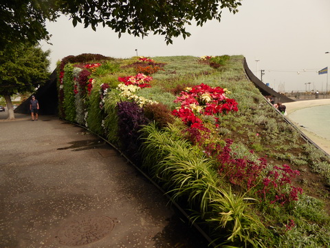 Teneriffa Santa Cruz de Tenerife  Kanaren Garcia Sanabria Park Rambla Santa Cruz  