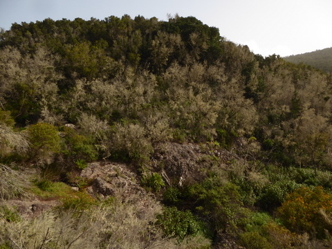   Gomera San sebastian Roque Columbus Gomera