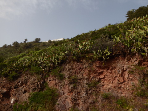   Gomera   Gomera San sebastian Roque Columbus GomeraGomera   Gomera San sebastian Roque Columbus Gomera