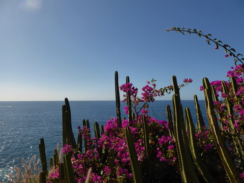   Gran Canaria   Puerto Rico  Taurito