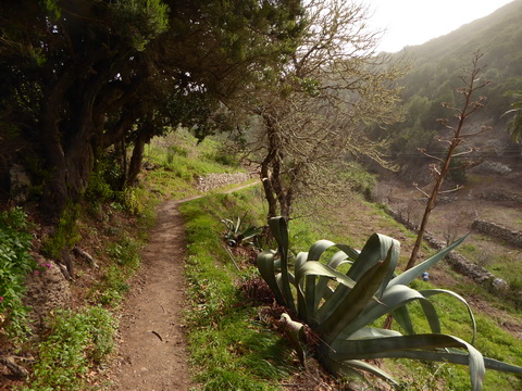   Gomera San sebastian Roque Columbus Gomera