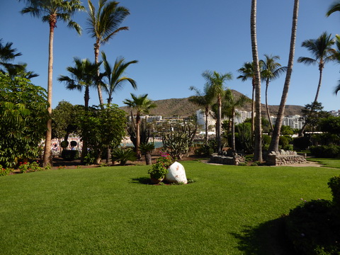 Gran Canaria    Puerto Rico Anif Radission