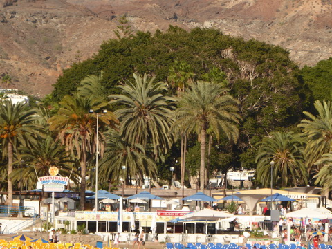 Gran Canaria   Puerto Rico  