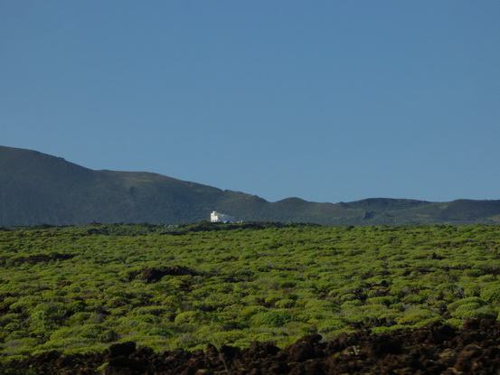 Lanzarote Lanzarote  Vulcanes 