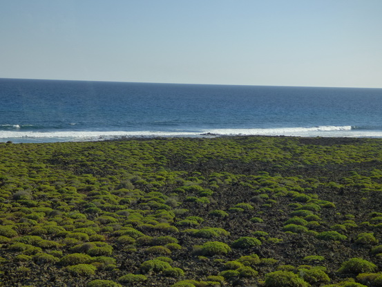 Lanzarote Lanzarote  Vulcanes 