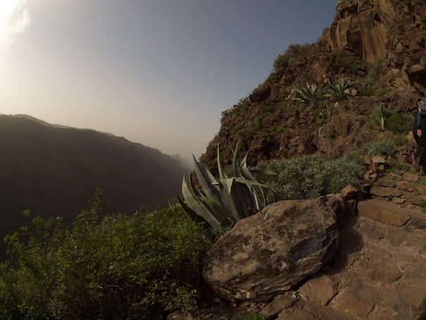 Gomera Inselwandern in den Lorbeerwaeldern 