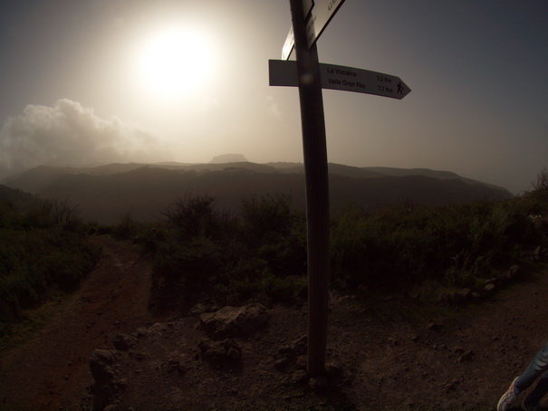 Gomera Inselwandern in den Lorbeerwaeldern 