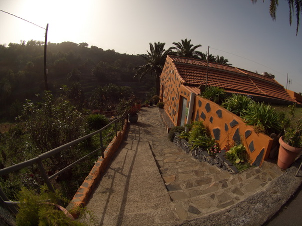 Gomera Inselwandern in den Lorbeerwaeldern 