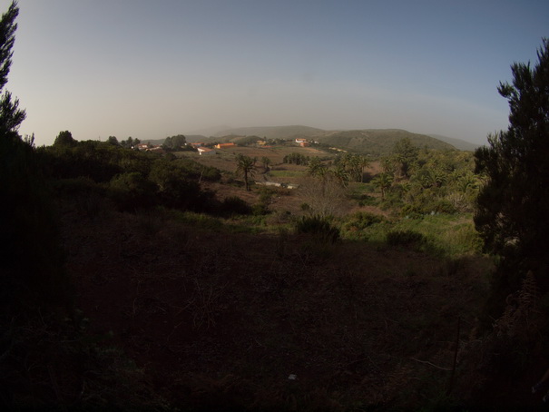 Gomera Inselwandern in den Lorbeerwaeldern 