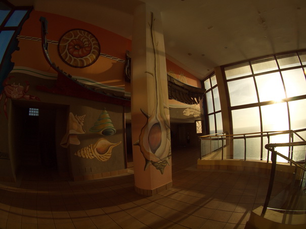 Gran Canaria Gloria amadores Palace Fish Eye 